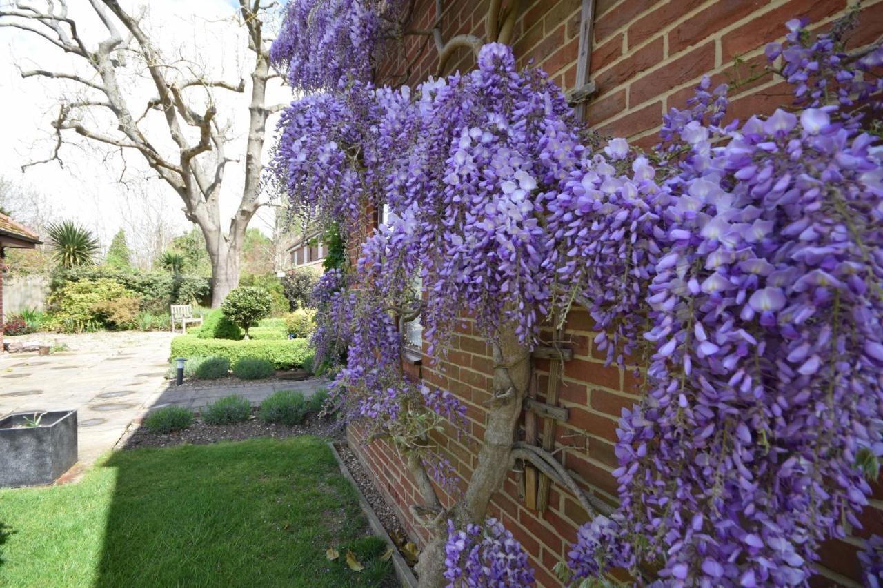Wisteria Way, Tangmere エクステリア 写真